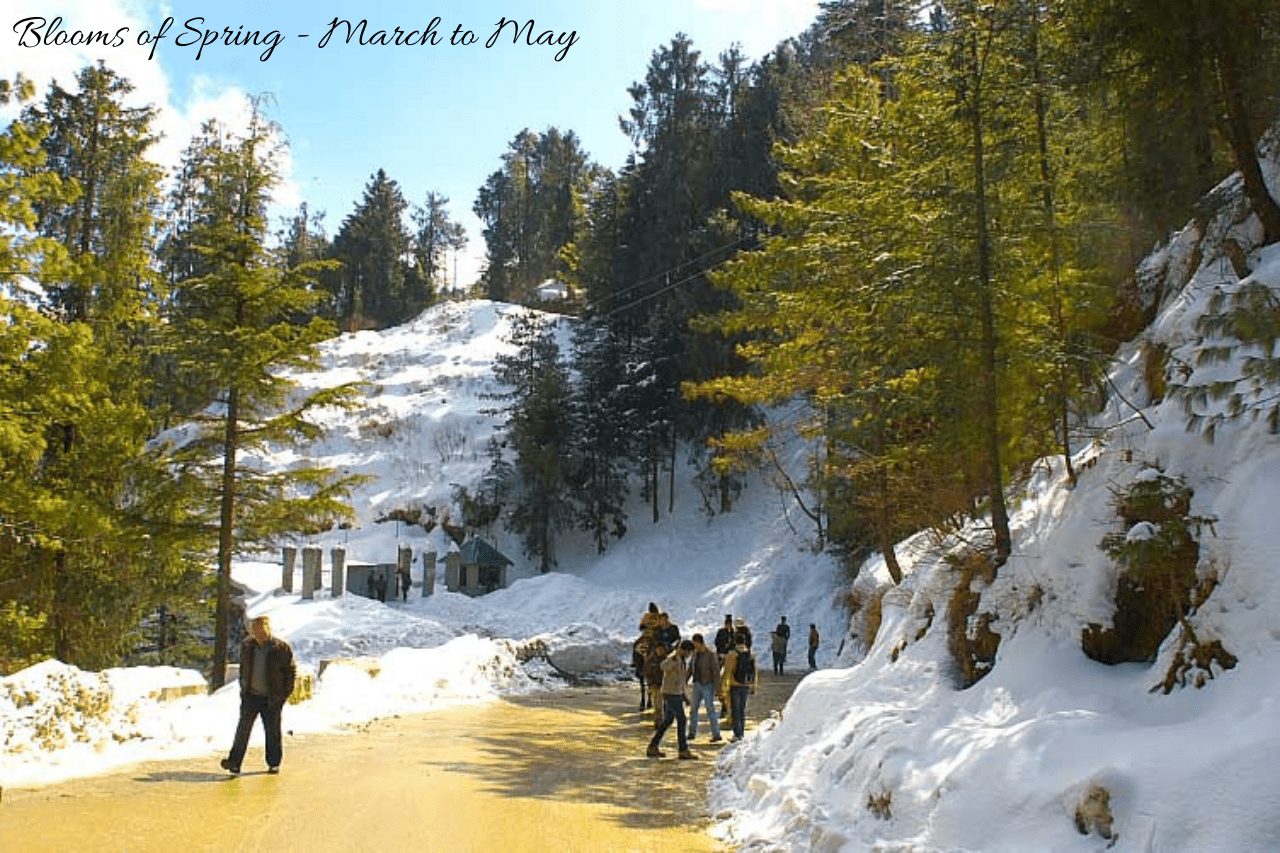 best hotels in kufri shimla