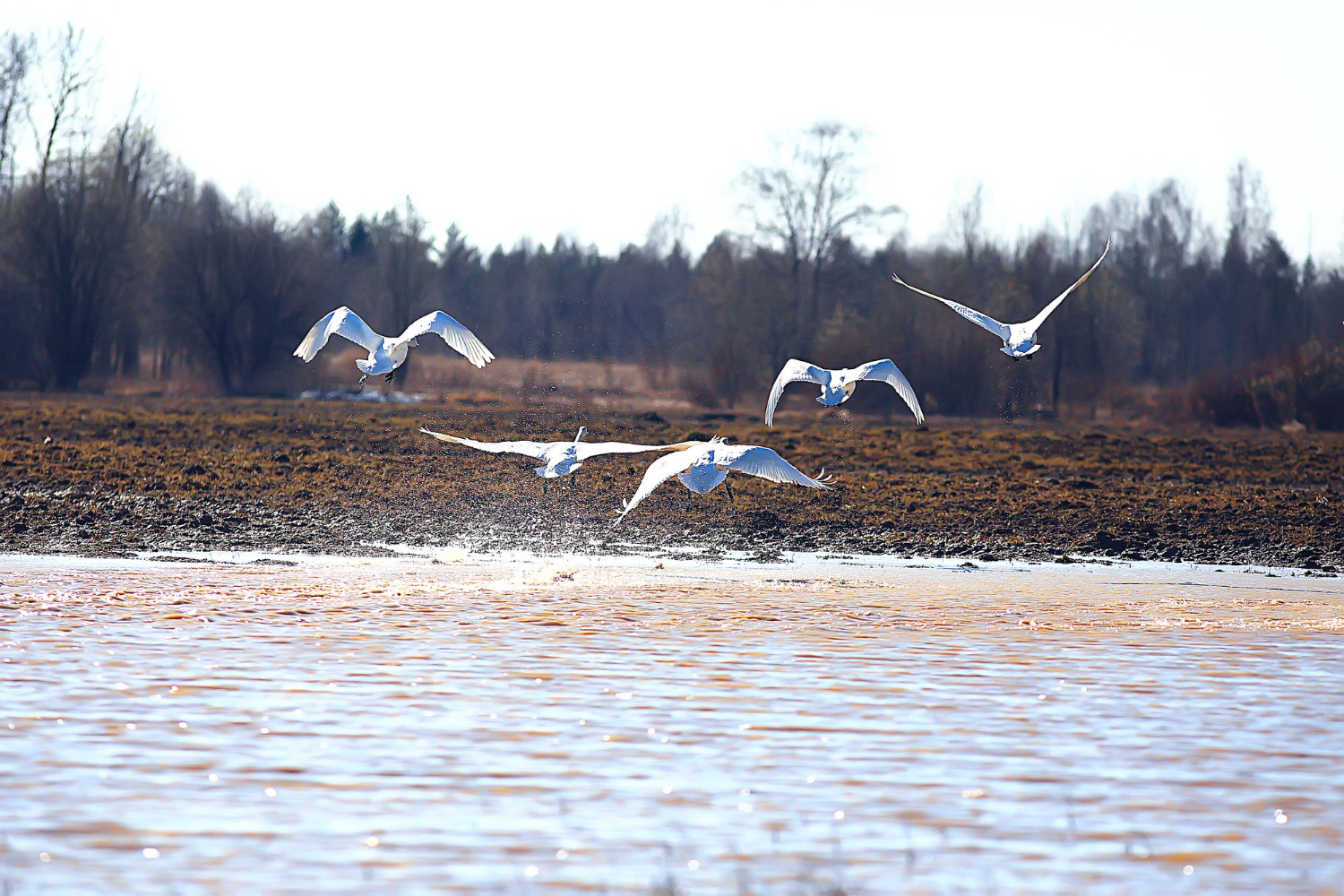 Jay Gurudev J Wild: Best Hotel in Jawai