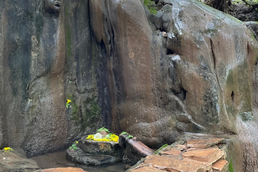 Adventure Resort in Kuno Madhya Pradesh