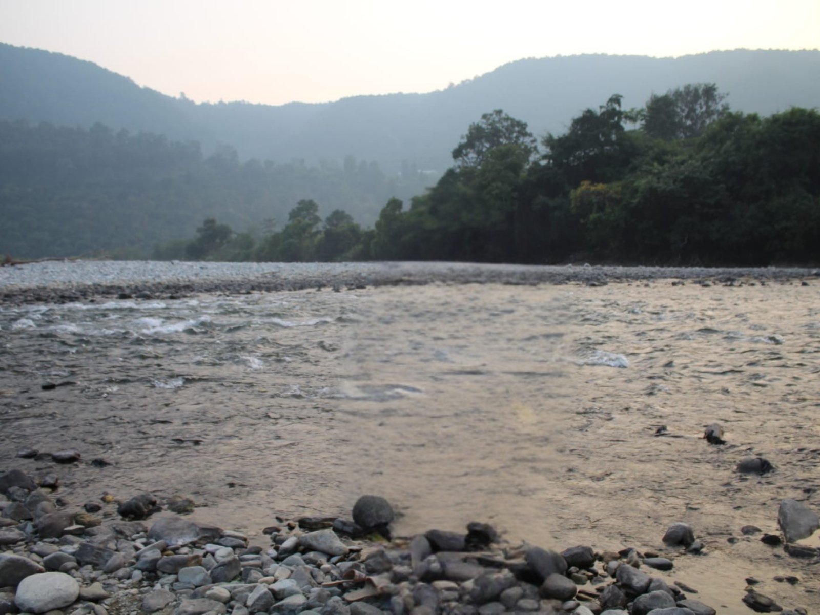 forest view resort Uttarakhand